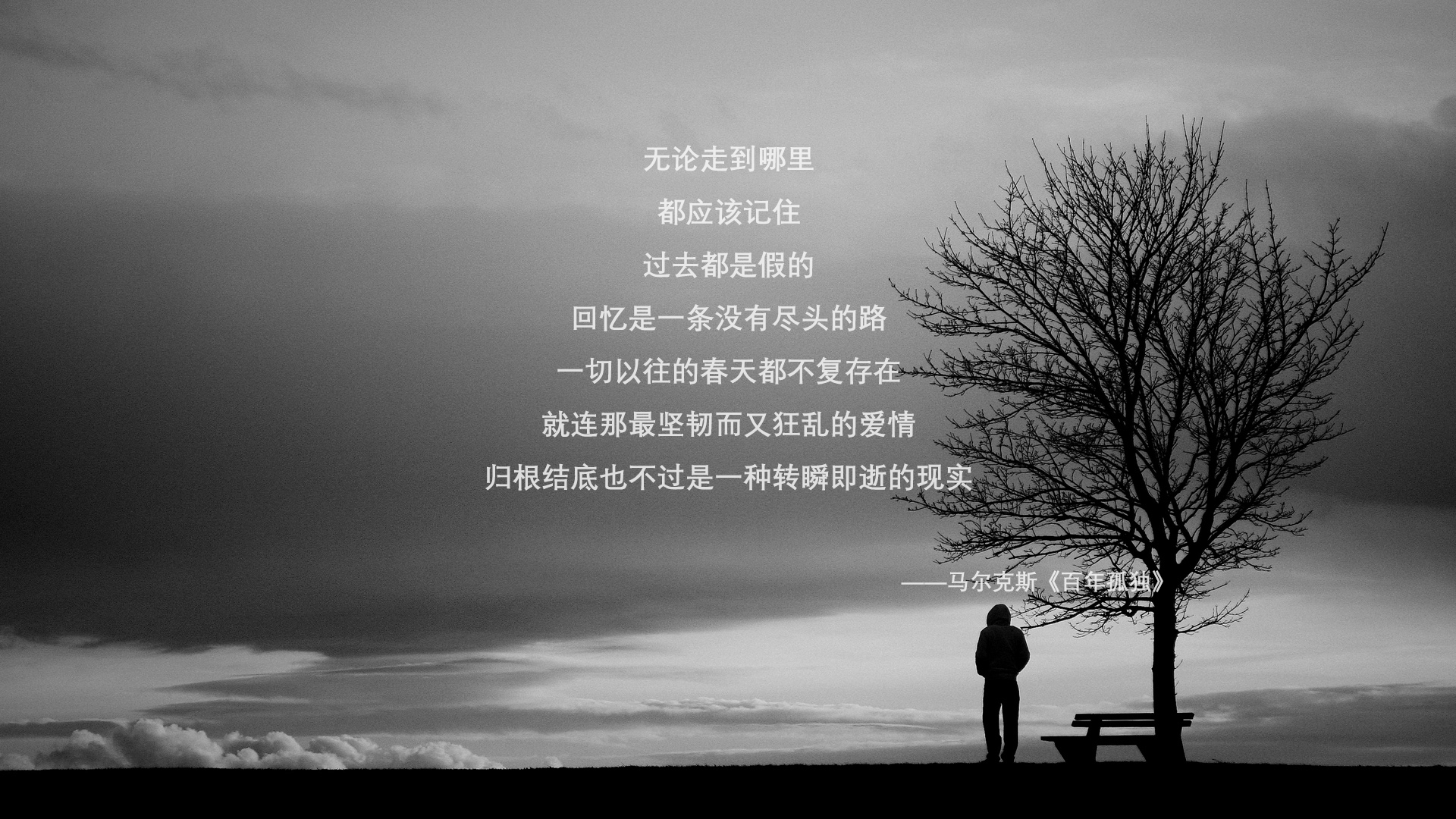 世界帆船赛事海上救援物资调拨与仓储规范修订，船只救援